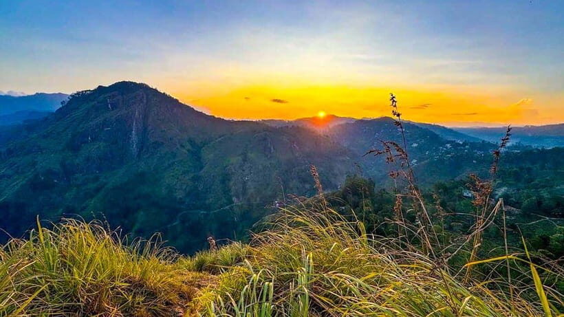 Ella: Sunset Tuk Tuk Tour with Little Adam's Peak Hike - Key highlights at a glance