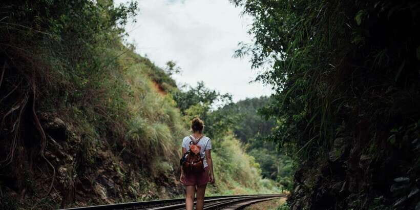 Ella: Tea Factory, Train, and Nine Arch Day Tour with Pickup - A 16-Hour Ella Hit List With Transport Included