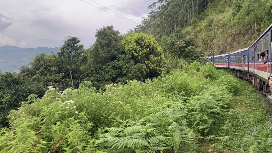 Ella: Tea Factory, Train, and Nine Arch Day Tour with Pickup - Ravana Waterfall and Ravana Pool Club: Spectacle Plus a Reset