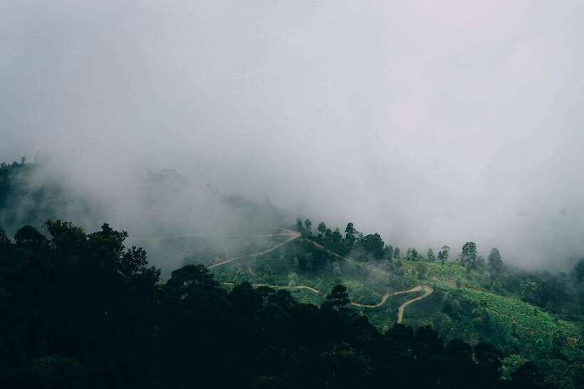 Ella: The Pekoe Trail Stage 16 - Ella to Demodara - Key things to know before you set off