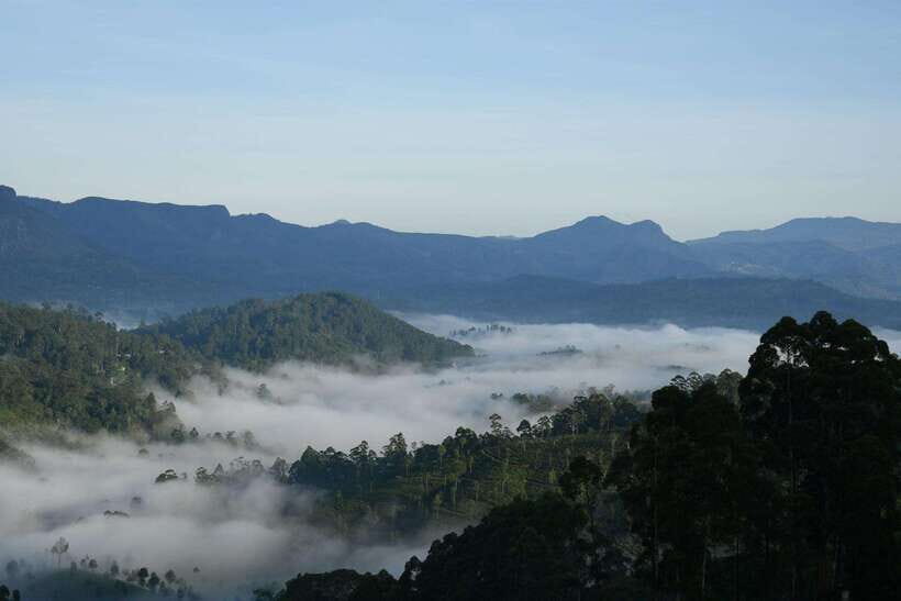 Ella: The Pekoe Trail Stage 16 - Ella to Demodara - Pekoe Trail Stage 16: a compact, scenic Ella-to-Demodara route