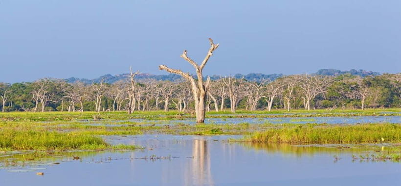 Ella - Udawalawa Safari - Drop to Mirissa/Weligama/Galle - Budget for Tickets and Plan for Short Stops Inside the Flow
