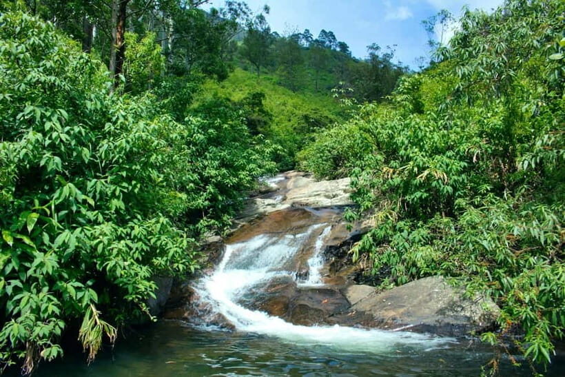 Ella: Waterfall hunting Hike to Bambarakanda and Lanka Falls - The secret stop: why the quiet walking often hits hardest