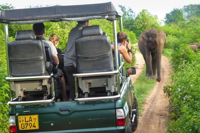Everything in Udawalawe (Safari, Accommodation with Half Board) - How your guide can change the whole safari