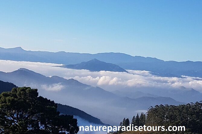 Exclusive knuckles Camping Tour from kandy - Key things to know before you go