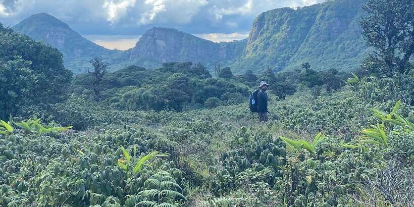 Exclusive knuckles Camping Tour from kandy - Price and value: is $195 fair for a private 2-day camping trek?