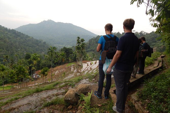 Exclusive knuckles Camping Tour from kandy - Day 2 breakfast and the downhill tea plantation section