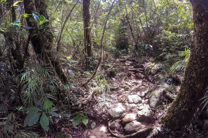 Exclusive knuckles Camping Tour from kandy - Waterfalls, natural pools, and that slightly chilly swim
