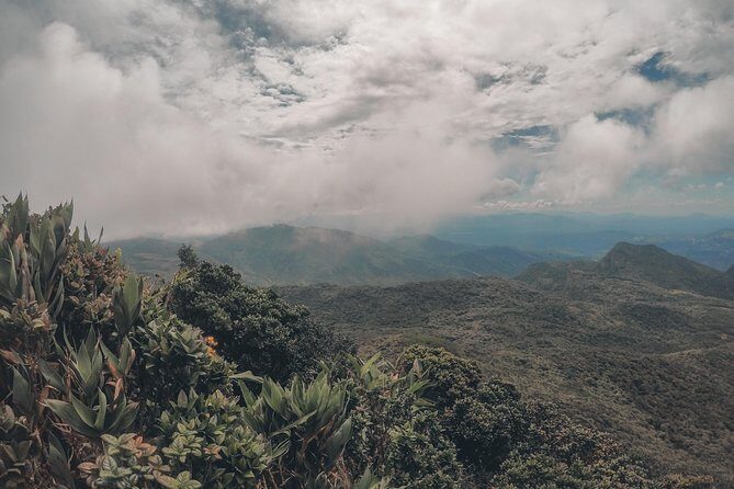Exclusive knuckles Camping Tour from kandy - Traditional village culture: rice terraces, gardens, and an authentic lunch