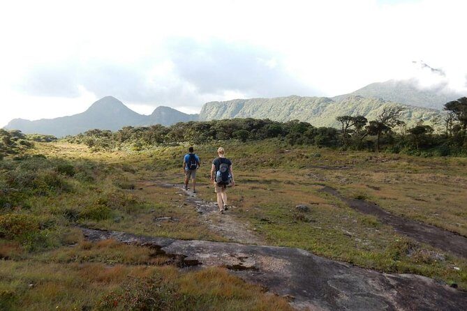 Exclusive knuckles Camping Tour from kandy - Tea Trail and the Silent Forest Area on Day 1