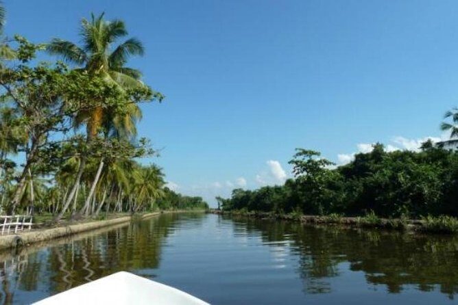 Exclusive: Muthurajawela Bird Watching Tour with Transfers - Key Highlights You’ll Notice Fast