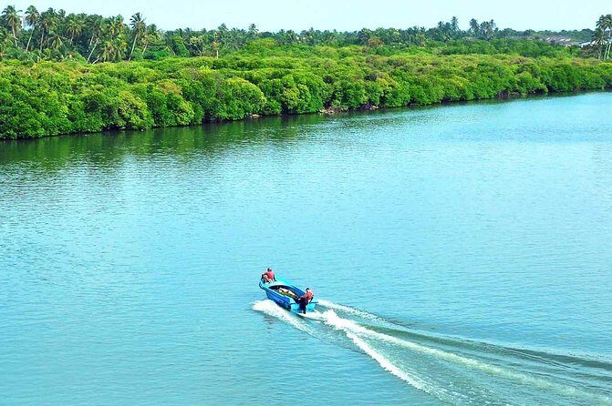 Exclusive: Muthurajawela Bird Watching Tour with Transfers - Light Refreshments: A Small Inclusion That Helps