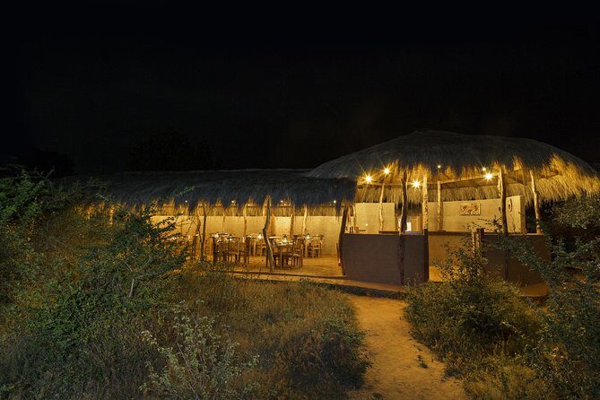 Exclusive : Overnight Leopard Safari with Luxury Glamping - Key highlights that actually matter