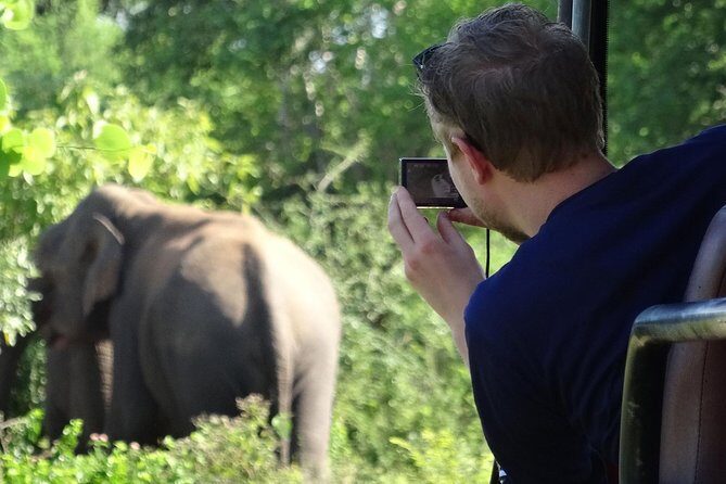 Exclusive : Overnight Leopard Safari with Luxury Glamping - Practical value: what makes this tour feel like more than a drive and a tent