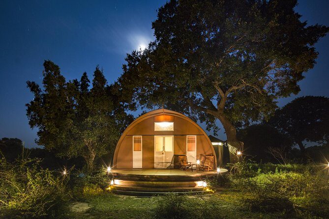 Exclusive : Overnight Leopard Safari with Luxury Glamping - Day 1 plan: lunch in the park, then a late game drive