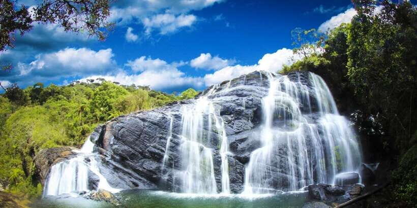 Exclusive: Private Horton Plains, Tea Plucking tour & Lunch - Price and logistics: what you’re paying for at $90
