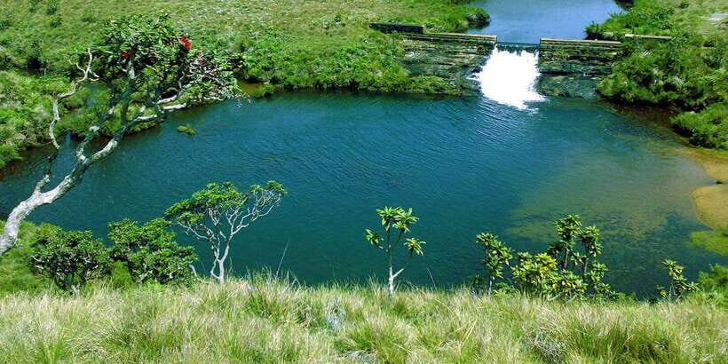 Exclusive: Private Horton Plains, Tea Plucking tour & Lunch - Getting moving at 06:00: the start that helps you