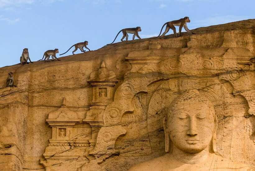 Exclusive: Sigiriya Fortress & Polonnaruwa Guided Tour - Getting ready: what to wear, what to bring, and temple rules