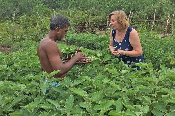 Exclusive: Southern Sri Lanka Sightseeing Private Day Trip - How to Get More from Your English-Speaking Guide