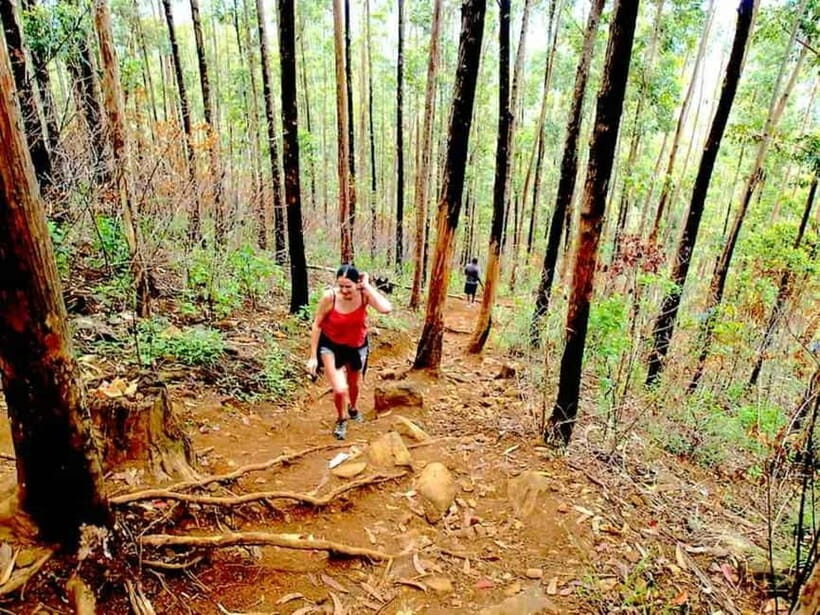 Explore Ella: Rock Hike, Loop, Falls, Nine arch & Train View - The Big Picture: What This 9-Hour Ella Day Really Delivers