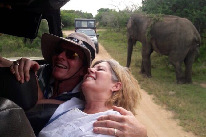 Explore The Beauty Of Udawalawe National Park From South Coast During 01 Day - The Safari Jeep: Why Four Hours in Udawalawe Feels Different