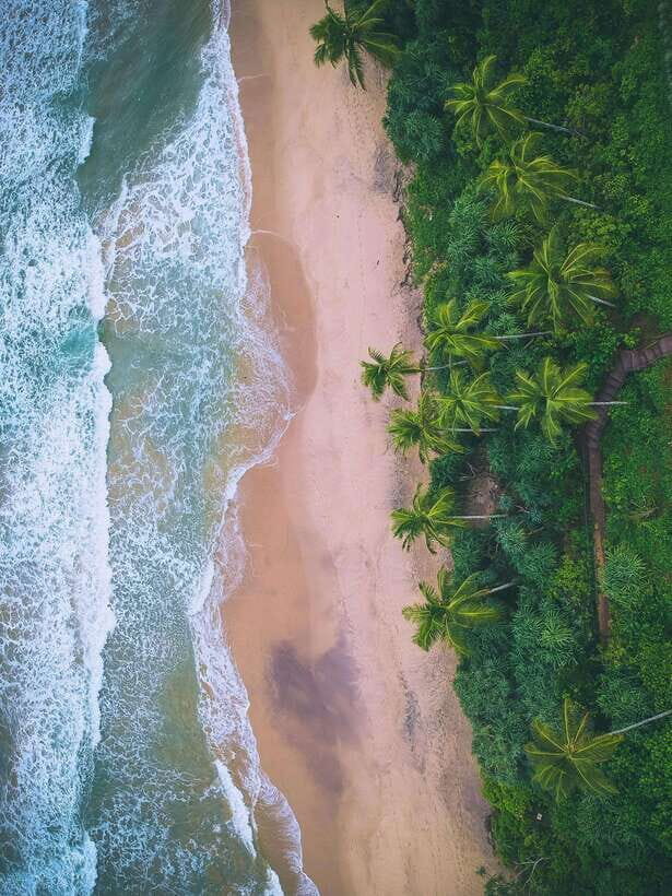 Explore the MAGIC of Sri Lanka in 7days -4 Star hotels Incl. - Where this Sri Lanka trip gives you real value