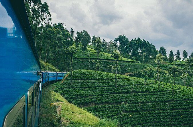 First Class Scenic Train Ticket From Kandy To Ella - Price and Value: What You’re Really Paying For at $95