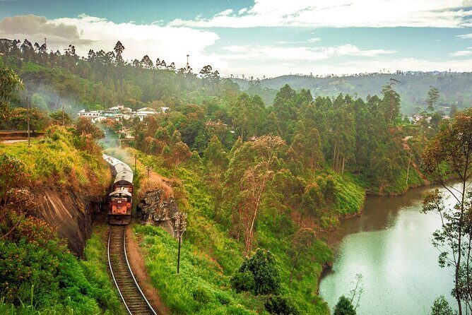 First Class Scenic Train Ticket From Kandy To Ella - Kandy to Ambewela: The Shuttle Start That Can Save Your Day