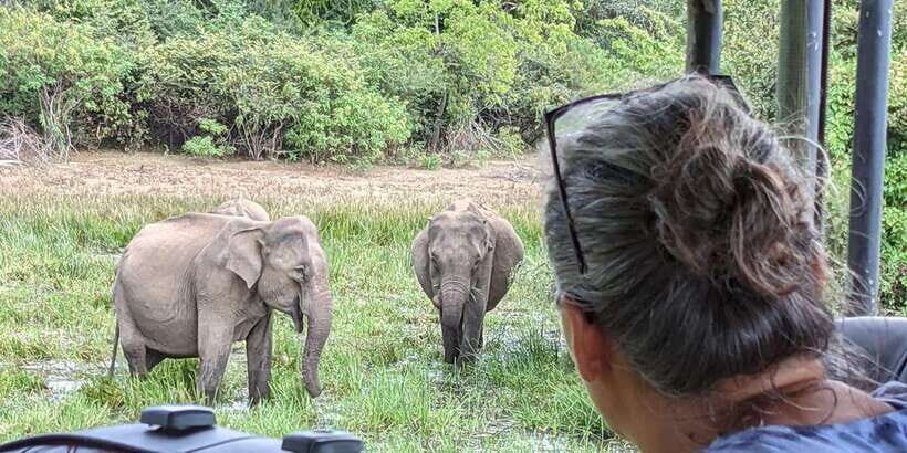 From Arugambay : Yala National Park Safari & Dropoff in Ella - Practical checklist before you go