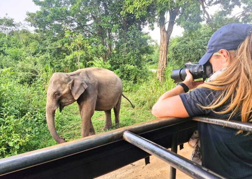 From Bentota: Elephant Transit Camp and Udawalawe Safari - Who should book this tour?