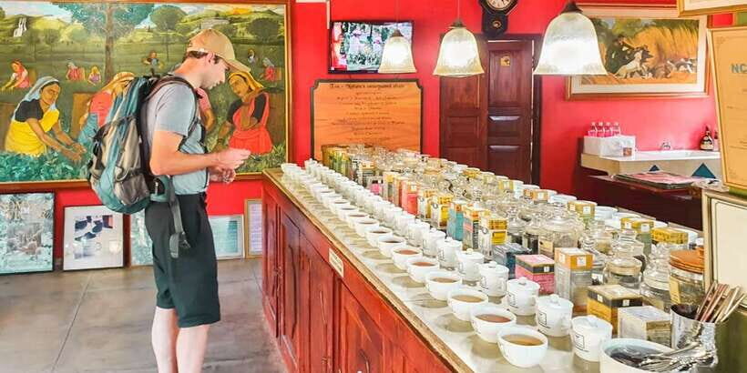 From Bentota: Southern Coast Highlights Private Day Tour - Lunch on your own in Galle: your best chance to slow down