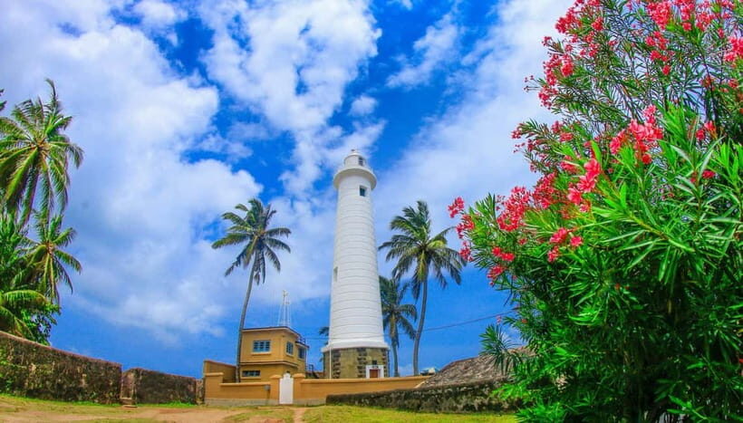 From Colombo: Galle Fort and Hikkaduwa Beach Day Tours - Ayurvedic herbal garden + cinnamon garden: plants you can use