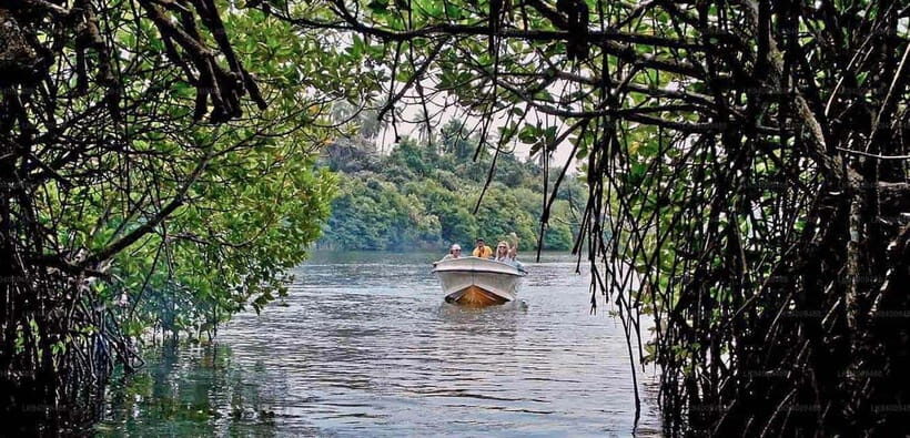 From Colombo: Galle Fort and Hikkaduwa Beach Day Tours - Hikkaduwa beach walking (and the Jungle Beach option)