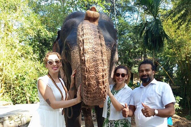 From Colombo: Kandy and Pinnawala Full-Day Trip - Key highlights you’ll actually care about