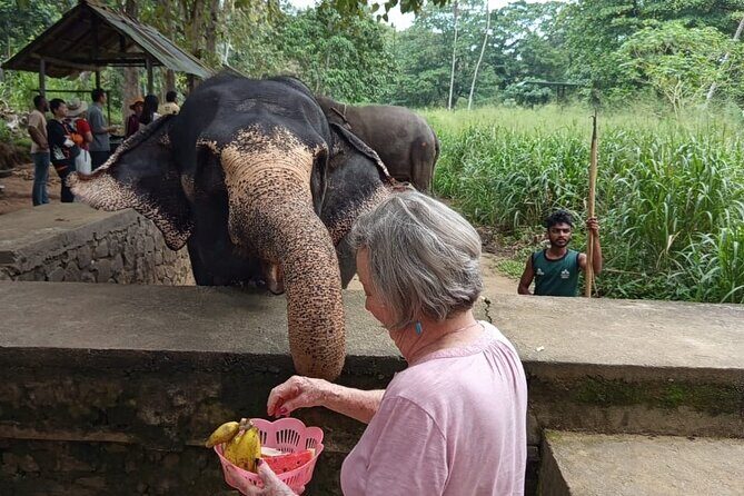 From Colombo: Kandy and Pinnawala Full-Day Trip - Royal Botanical Gardens: a break from rushing
