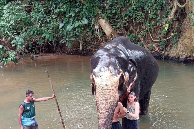 From Colombo: Kandy and Pinnawala Full-Day Trip - The guide quality shows up in small moments