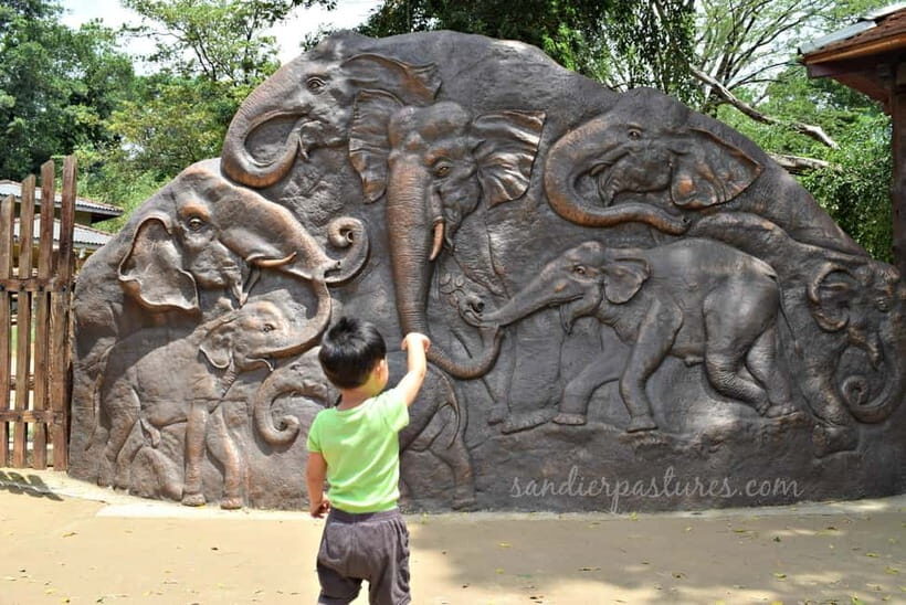 From Colombo: Kandy and Pinnawala Orphanage Short Excursions - Key highlights worth your attention