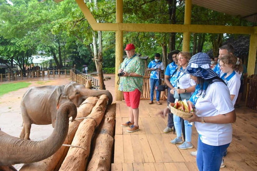From Colombo: Kandy and Pinnawala Orphanage Short Excursions - Peradeniya Botanical Gardens: slow walking in a huge 147-acre collection