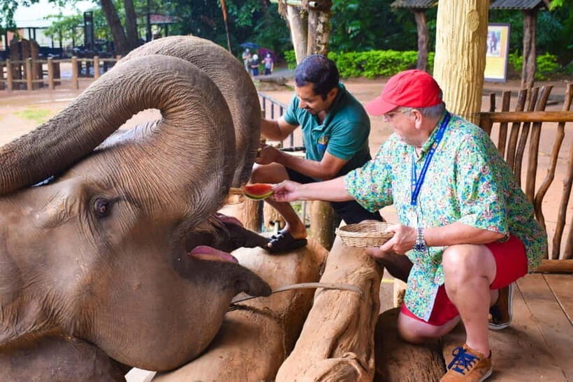 From Colombo: Kandy and Pinnawala Orphanage Short Excursions - Price and logistics: what $75 covers, and what you should budget for