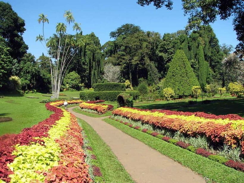From Colombo: Kandy, Pinnawala and Tea Factory Full-Day Trip - Kandy Lake View Lunch: You’ll Want to Plan for Extra Costs
