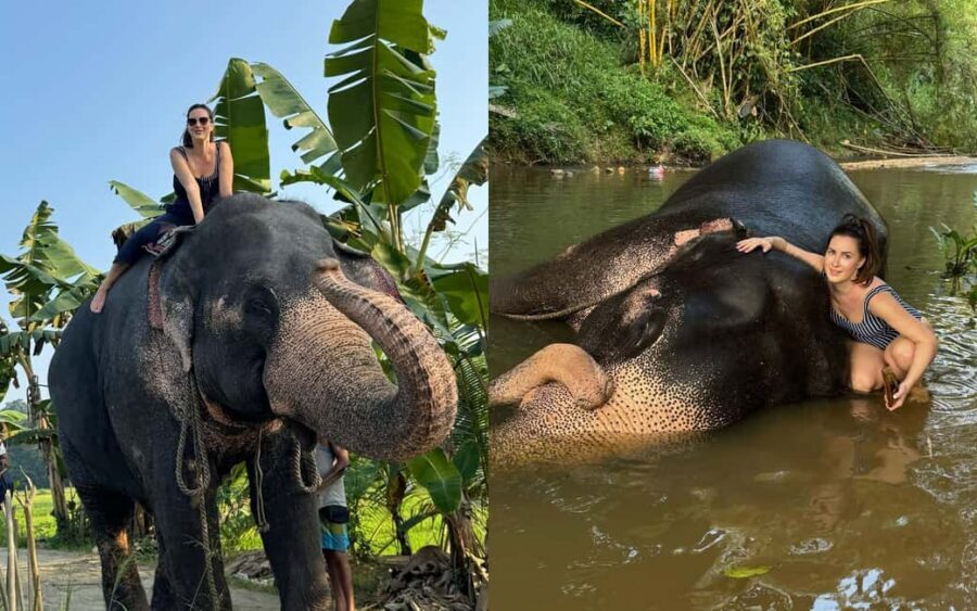 From Colombo: Kandy Temple of Tooth & Elephant Orphanage - Tea Factory and Ceylon Tasting: A Break That Pays Off