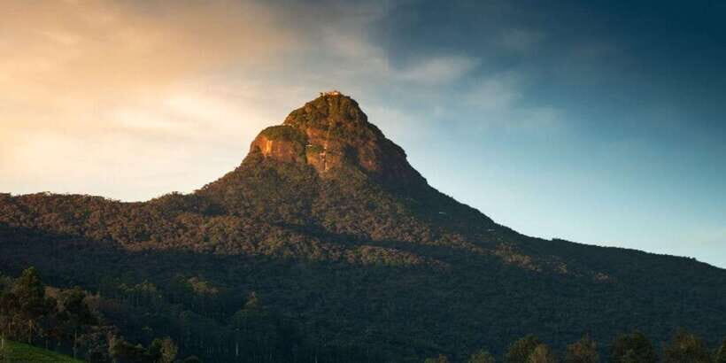 From Colombo/Negombo: Summit Thrills, Adams Peak Guided Hike - Key things to know before you go