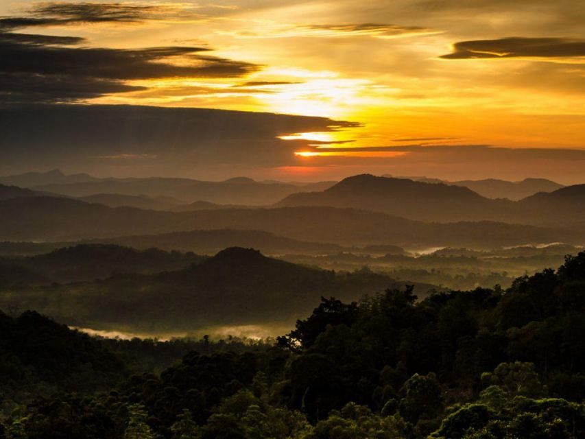 From Colombo/Negombo: Summit Thrills, Adams Peak Guided Hike - Peak Wilderness Sanctuary: trekking through 224 sq km of protected rainforest