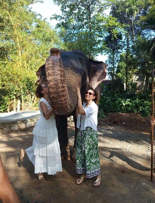 From Colombo or Negombo: Pinnawala, Kandy & Tea Factory Tour - Key points before you go