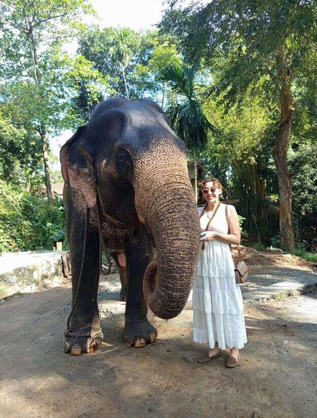 From Colombo or Negombo: Pinnawala, Kandy & Tea Factory Tour - Getting picked up in Colombo or Negombo (and why the “8 hours” can feel longer)