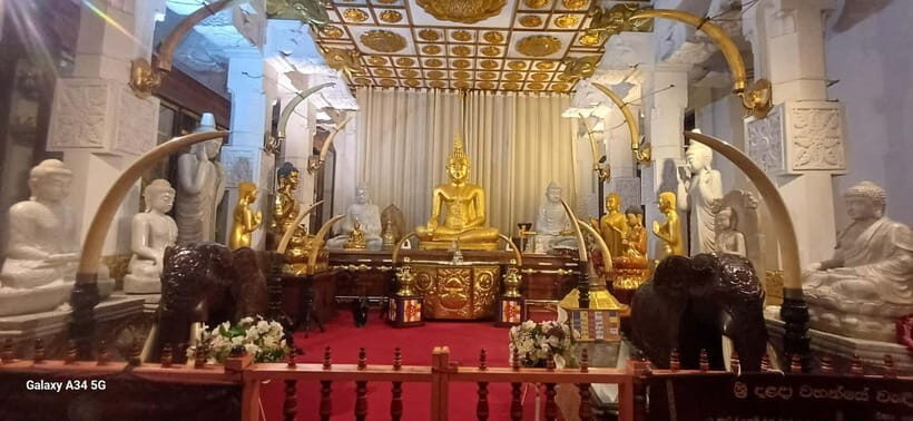 From Colombo: Pinnawala & Tea factory with Kandy Hotel Drop - Who should book this tour (and who should skip it)