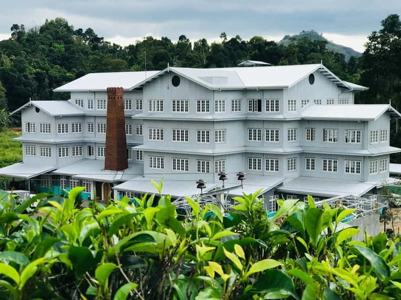 From Colombo: Pinnawala & Tea factory with Kandy Hotel Drop - Giragama Tea Factory: from plucking to a real cup of Ceylon tea