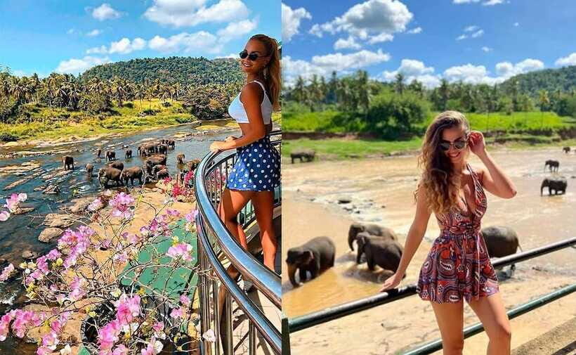 From Colombo: Pinnawala & Tea factory with Kandy Hotel Drop - What to bring for a sunny, full-day route