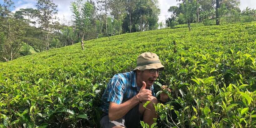 From Colombo: Virgin White Tea and Galle City Tour - Getting Into Galle: Lunch on Your Own and a Local-Walk Approach