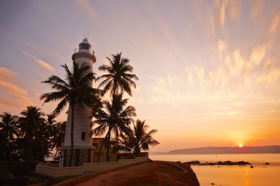 From Colombo: Virgin White Tea and Galle City Tour - Why the English Chauffeur Guide Makes This Day Work